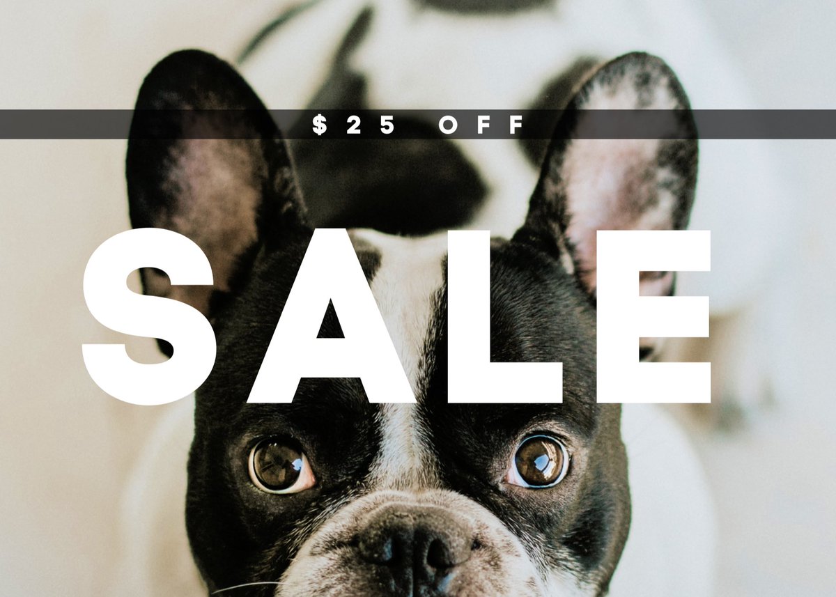 petmedella's tweet photo. For a limited time while supplies last, don't miss out on these savings!
Normally $165 and only $140 while this SALE lasts! 
To order go to https://t.co/qto8PYnvql
We truly hope you and your family are staying well during these trying times.💜
#petmedella #pethealth #bioresonance https://t.co/VlT1n3i3Ip