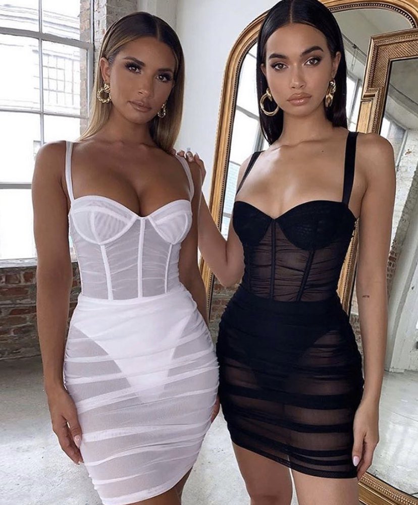 Oh Polly tweet media