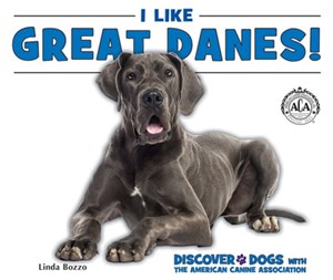 Did you know Scooby-Doo is a Great Dane??
While you’re waiting to enjoy his return to the big screen in Scoob! why not learn all about his breed! 
ow.ly/c6Sr50yWHhM #scoob #scoobydoo #enslowpublishing #greatdanes #dogs