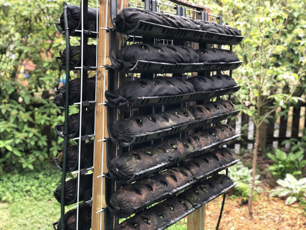 verdtechHQ's tweet photo. New short blog post out this morning. Check it out and send us your vertical gardening questions. #verticalgardening #vardening, #livingwalls https://t.co/OOx4dddajh https://t.co/RSet5vrg4v