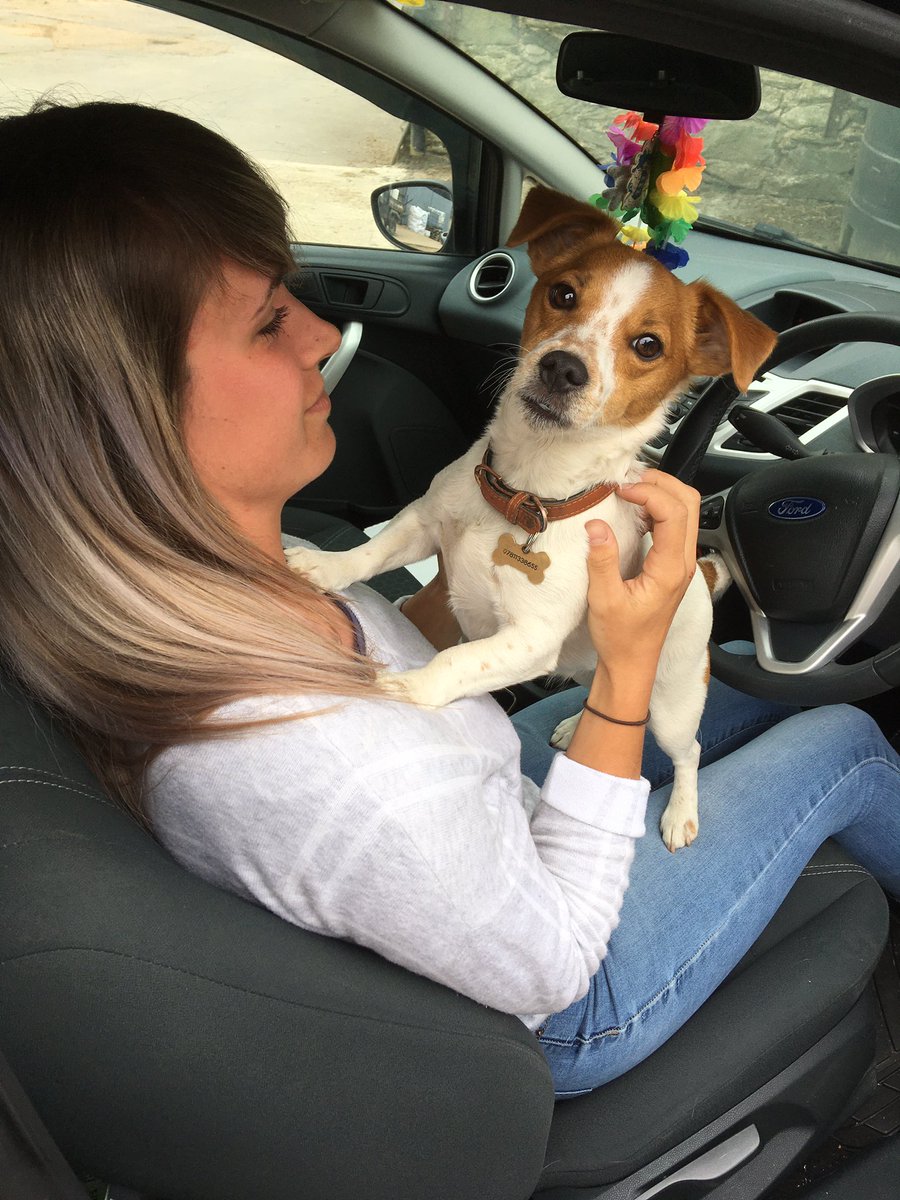 JoeWStanley's tweet photo. Brand ambassador Toby rolling out the welcome mat for @oxsaaaaami today 🐶 https://t.co/yo9Rlq4VcA