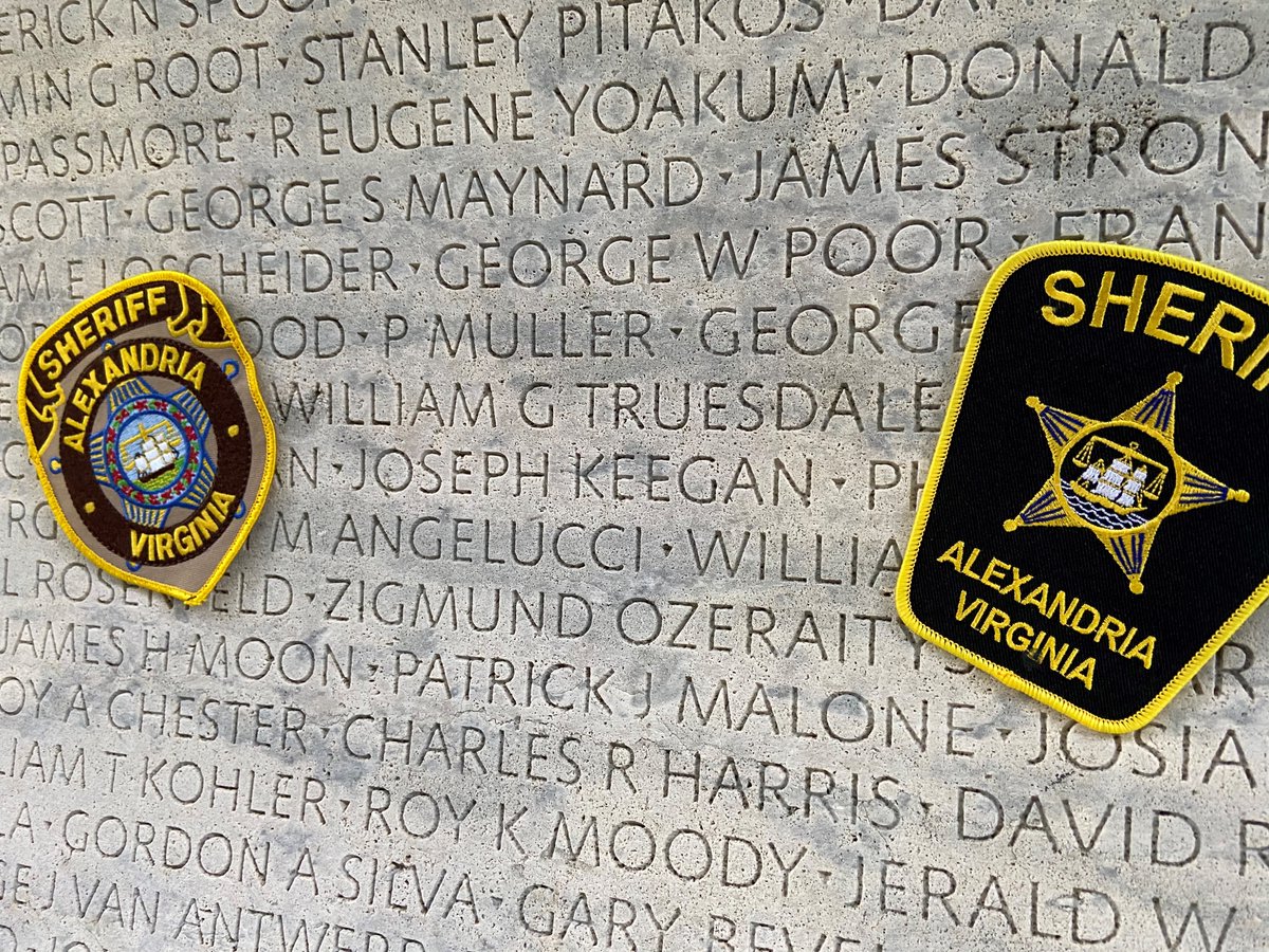 Alexandria Sheriff tweet media