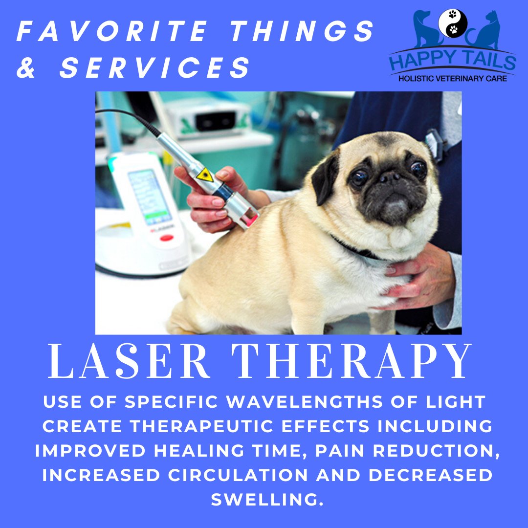 Happy Tails Holistic tweet media