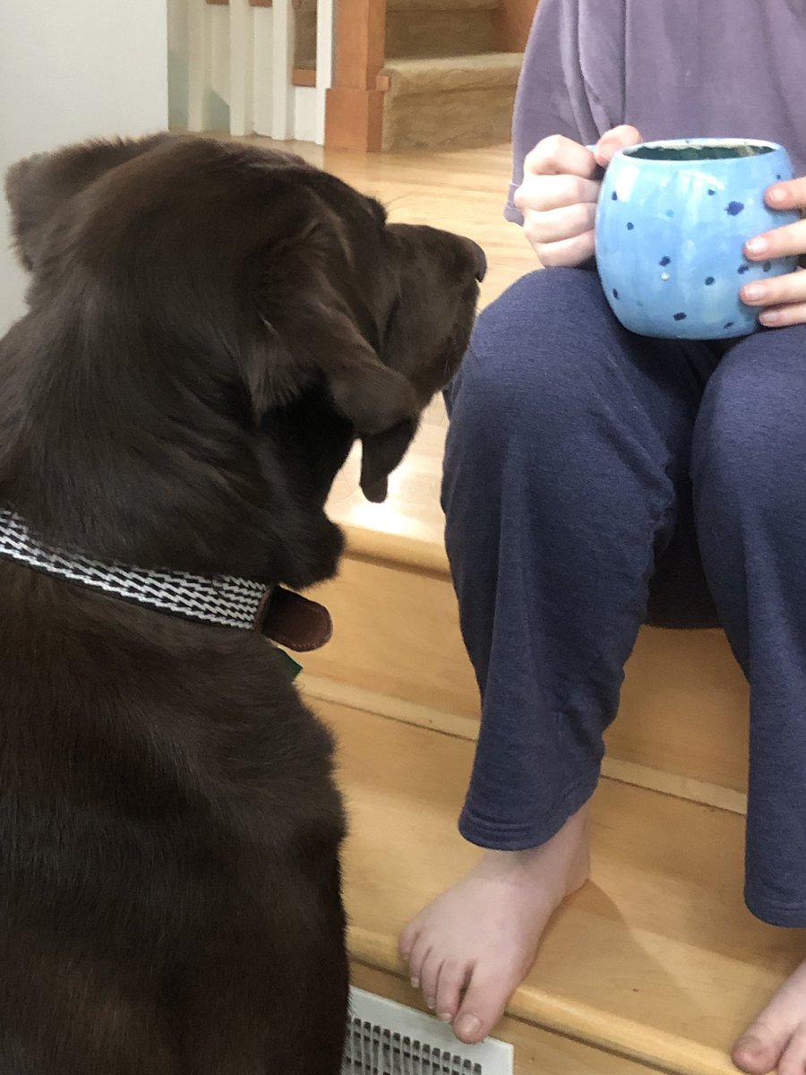 Bad_Brown_Dog's tweet photo. Turns out I love the coffee. https://t.co/8pW62SogmB