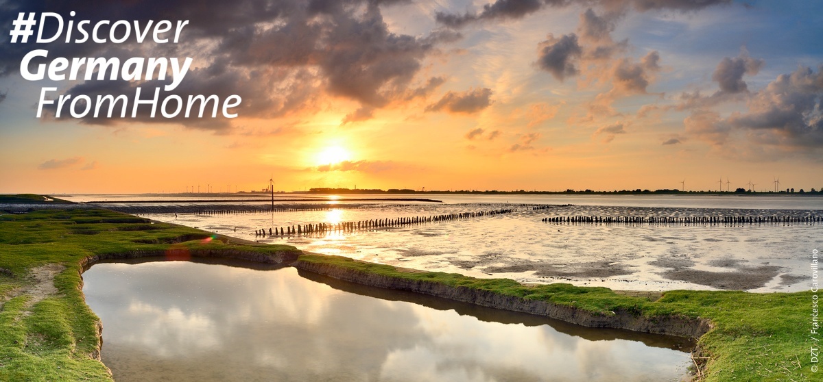 VisitGermanyUK's tweet photo. The next time you visit Germany, how about a trip to the coast? High up in the north of Germany in Lower Saxony &amp; Schleswig-Holstein is the Wadden Sea National Park, a natural UNESCO World Heritage site. If you love birding you'll be in heaven there 😍 

#DiscoverGermanyFromHome https://t.co/JgF6okW4sL