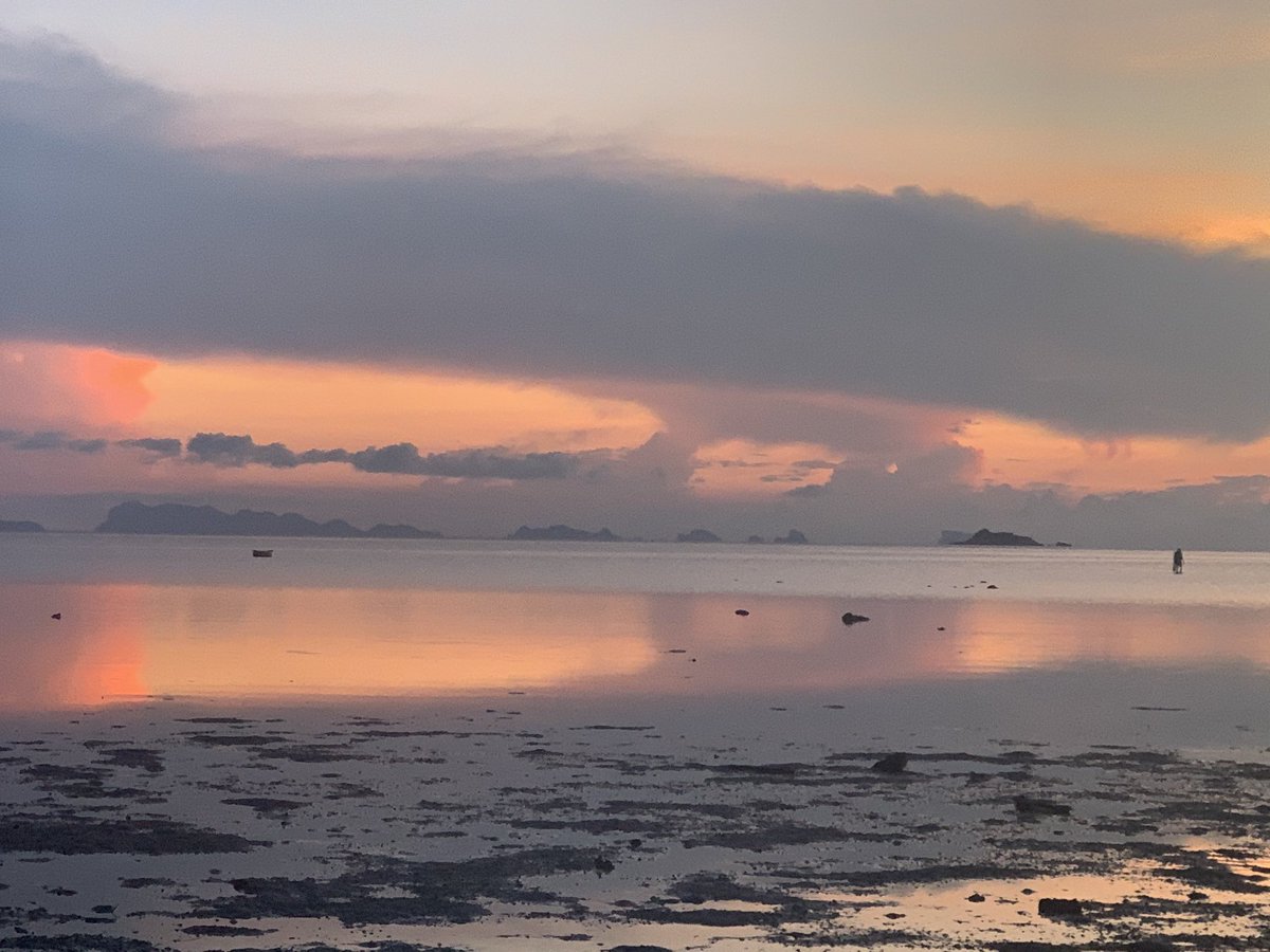 No plans. No expectations. No promises. Only magic 💫#powerofpresence #AgeOfAquarius #kohphangan #thailand #nature #findyourcentre #theuniversehasyourback