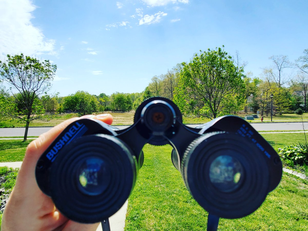 Saturday,  May 16th is now <a href="/NatParkTrust/">National Park Trust</a> #ParkstoKids Day! Join us for a digital celebration as we bring parks to kids! Learn more at kidstoparks.org
We will be birdwatching tomorrow, what will you be doing for Parks to Kids Day?