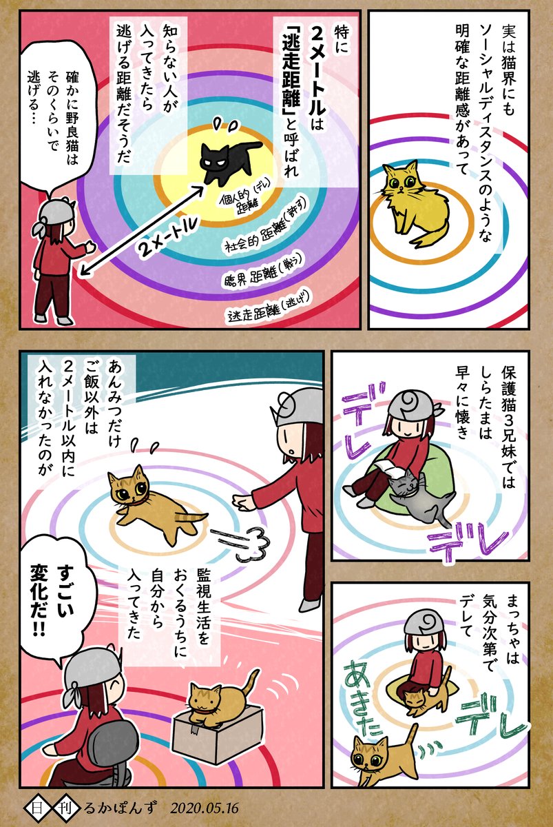 【猫マンガ】保護した猫がなつくまで試行錯誤した話_6

猫界のソーシャルディスタンスの回。

#保護猫3兄妹 #猫 #ネコ漫画 #コミックエッセイ #猫まんが #ペット漫画 