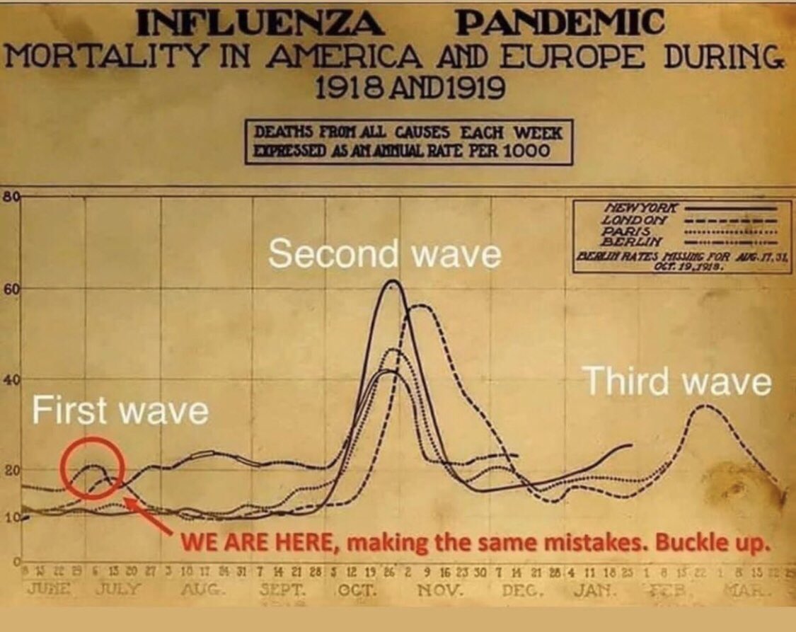 angeladair_lol's tweet photo. It’s not a conspiracy people, it’s history. #stayhome #staysafe #stayhealthy #covid19 #isolation #quarantine #3waves https://t.co/gXAuCl5jdw
