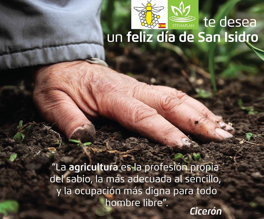 Apicola del sur (apisur) tweet media