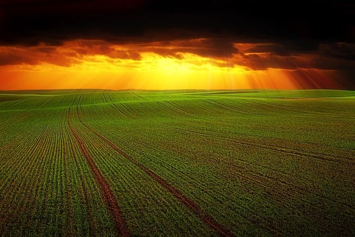 Jos3Garci4's tweet photo. Feliz día de #SanIsidroLabrador 🌾

Muchas gracias a #agricultores y #ganaderos por vuestro esfuerzo sin descanso para garantizar el abastecimiento en momentos tan difíciles para todos

#AplausoMerecido 👏👏 https://t.co/vAoN7azWpO