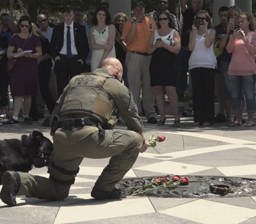 k9_retired's tweet photo. Today is Peace Officers Memorial Day lets honor all of those #heroes who have made the ultimate sacrifice 🇺🇸🐕🇺🇸 #K9 #BlueLivesMatter #ThinBlueLine #PeaceOfficersMemorialDay https://t.co/NoY2XAYETk