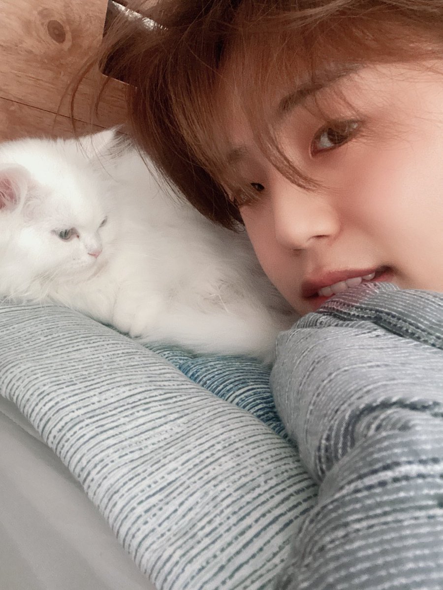 official_ACE7's tweet photo. [#에이스_동훈]
초이스 오늘 하루 잘 보냈어요?
해 보고 굿나잇 해요🐱
#초이스 #에이스 #집사동동
#CHIOCE #ACE https://t.co/zFRKSvCF1Z