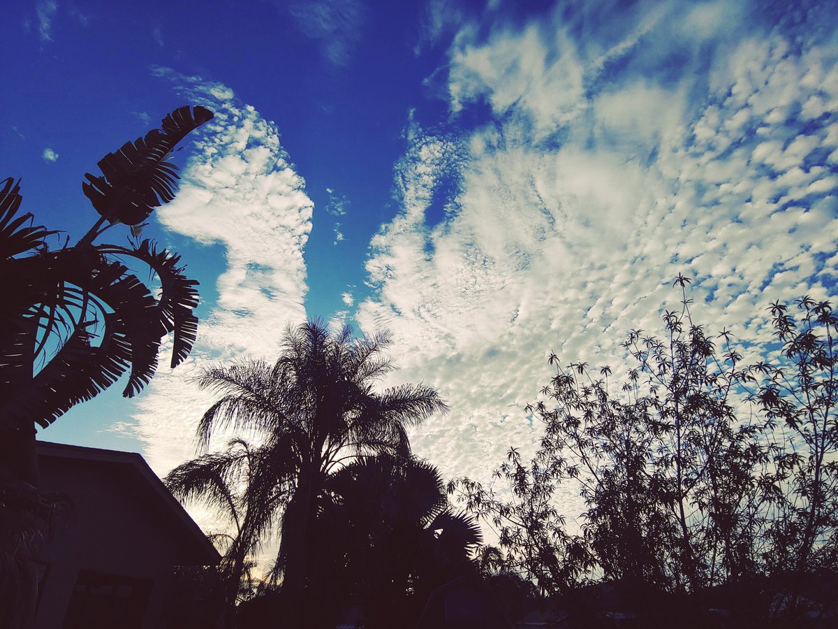 mrsrmcdaniel's tweet photo. Morning are so peaceful #Morning #picture #nature https://t.co/ZVJDCiRet2