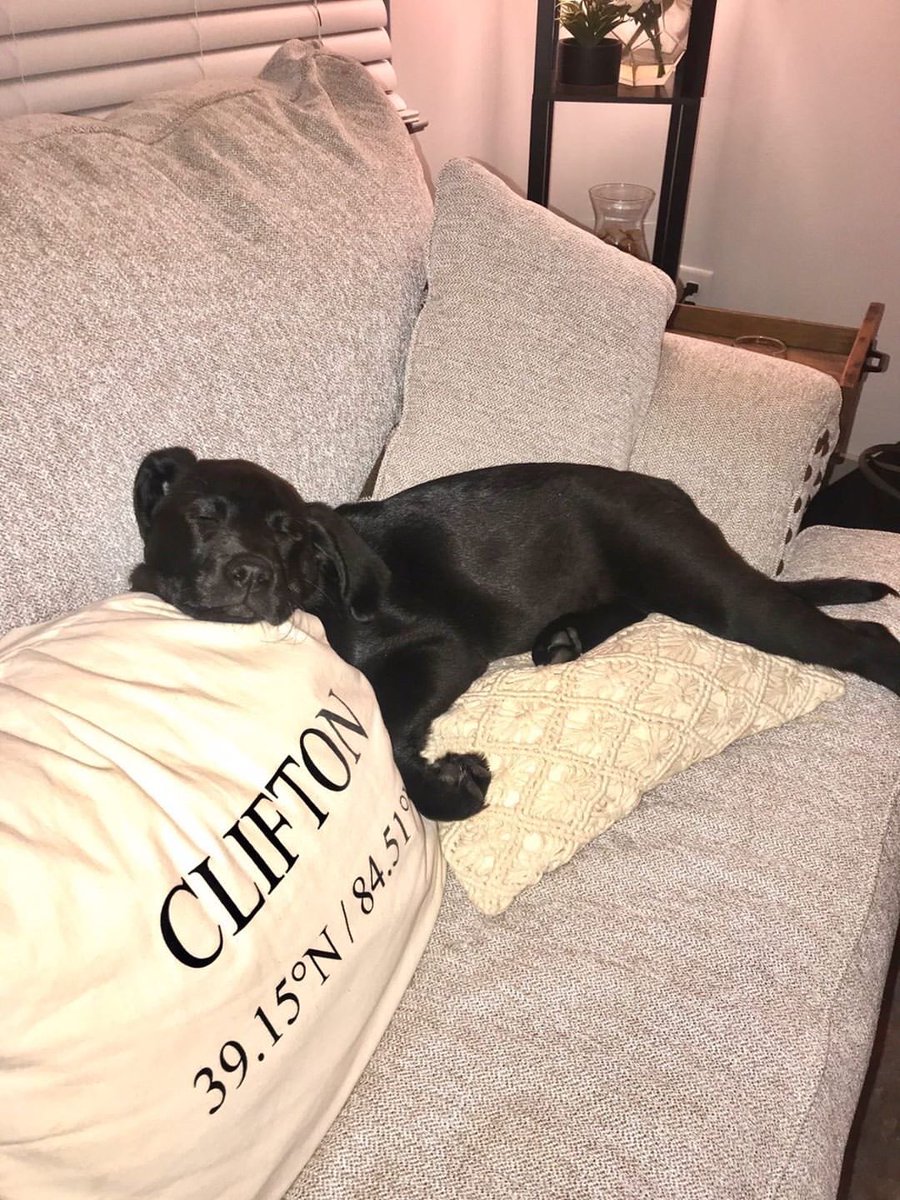 UCBarstool's tweet photo. #GoodBoyFriday https://t.co/yu0BUMty1Q