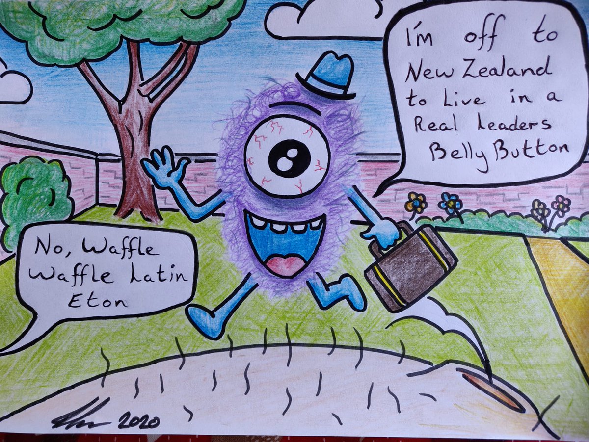 Pamela Lithgow tweet media