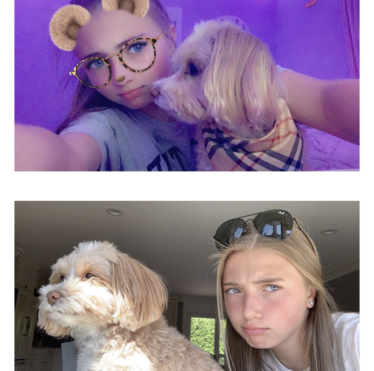 PMSSocialWorker's tweet photo. Furry Friend Friday! #PMSFunFridays #weareplainedge @PMS_Principal https://t.co/CYU8Ae1qz3