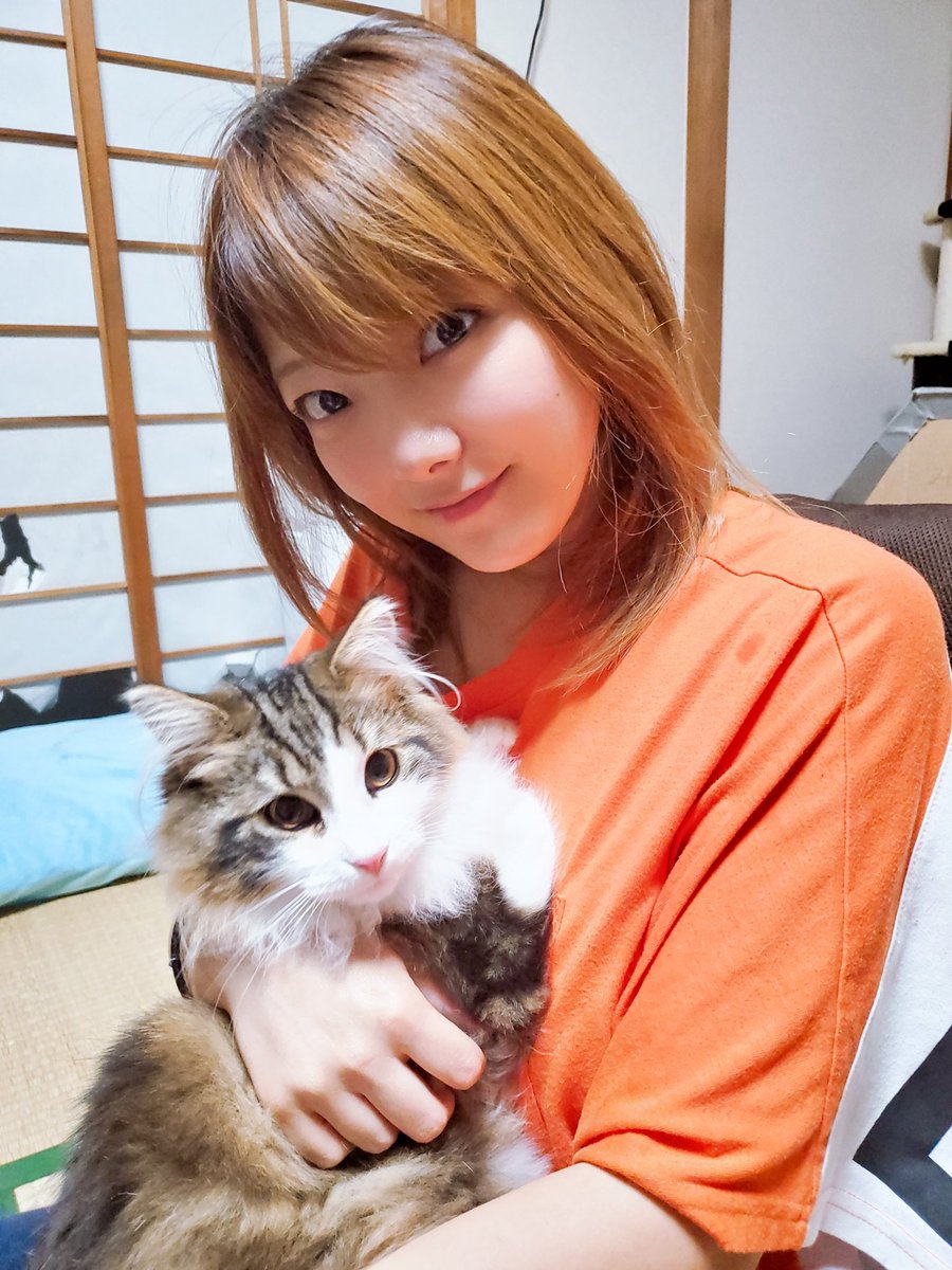 manamitoai_MC's tweet photo. 激しく抱っこ嫌がるガロです。
抵抗しまくりの奇跡の１枚😂

生後５ヶ月。
かなりデカイ🐱

MANAMI https://t.co/1lVqArZIZF