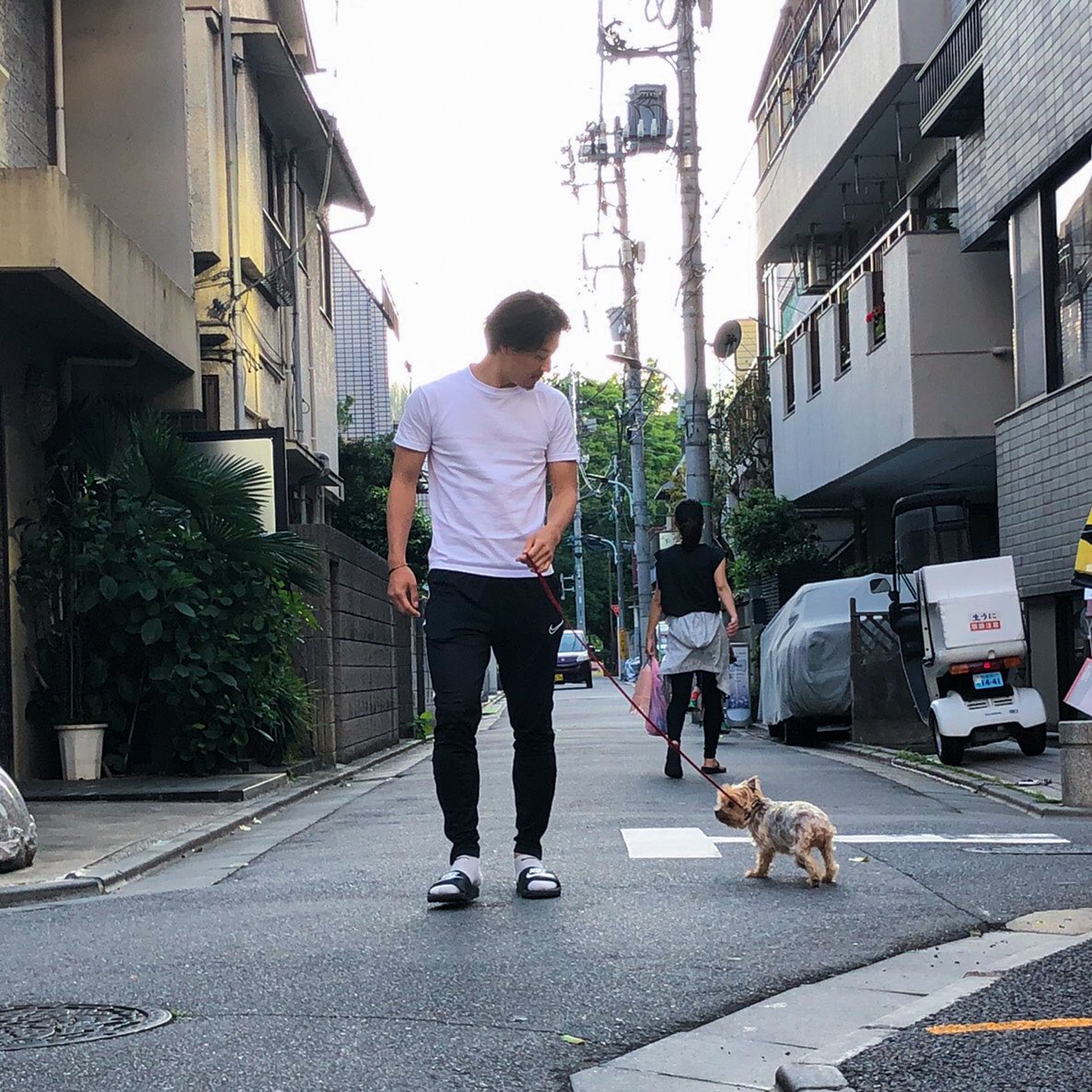 犬2匹 Twitter Search