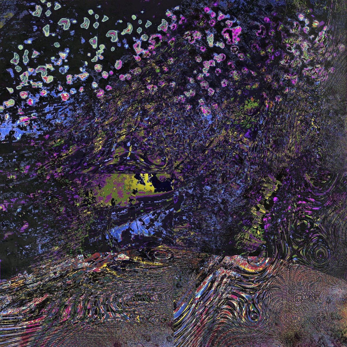 ‘bring me dead flowers every morning’