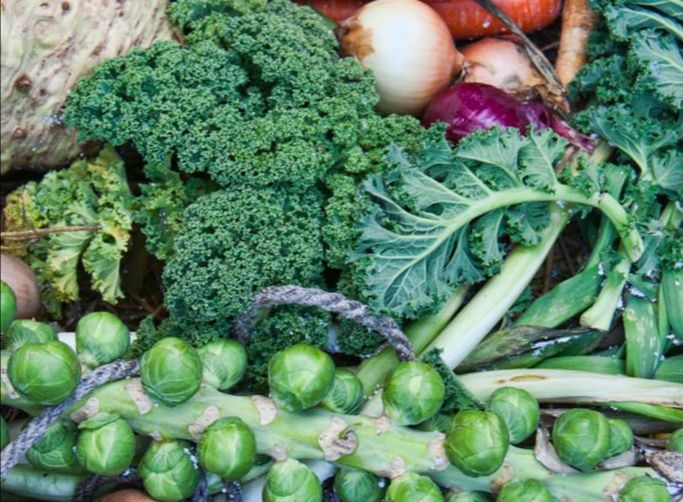 VeggieVan3's tweet photo. Sign up for the First Annual Heart Healthy Food Show! - https://t.co/MIjGKyyeup https://t.co/GeuTOpzKng