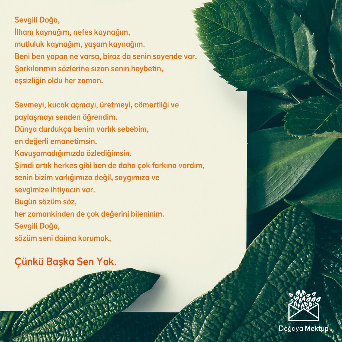 Geçen gün konuşmuştuk ya. 
İşte benim mektubum! 
Sizden gelenlerden sonra ben de yazmadan duramazdım tabii ki.
Umarım ilham olur size de.😊
Siz de yazın! 🙏🙏
Sizin doğaya mektuplarınızdan bir şarkı yapacağım! 😊😊
#doğayamektup #çünkübaşkasenyok @nnturkiye