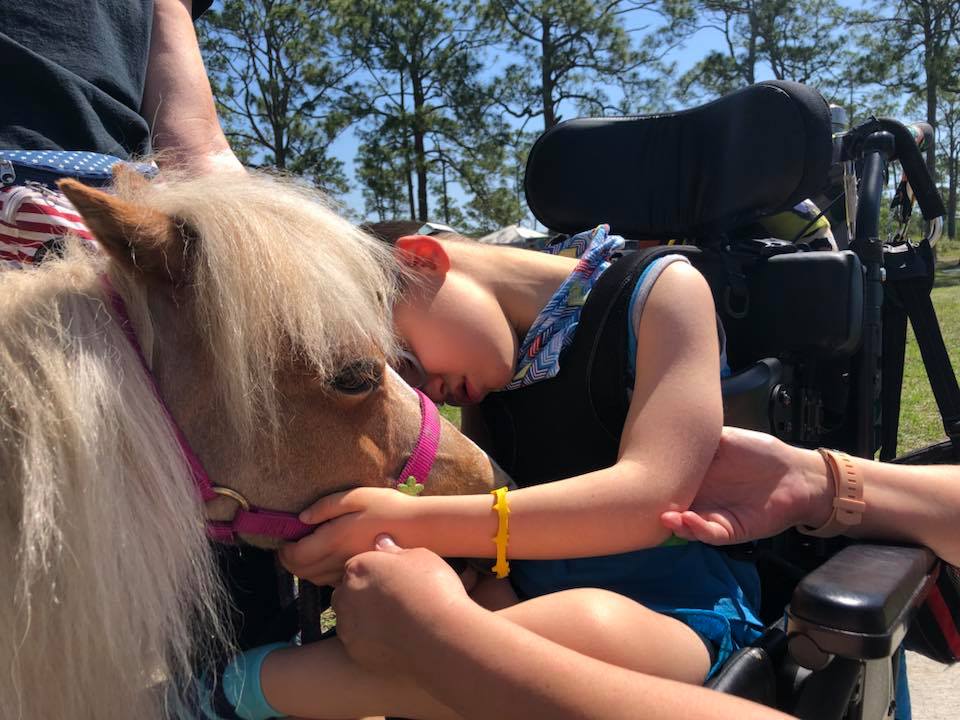 The Arc of Palm Beach County tweet media