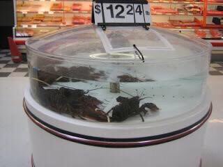 __iamjae___'s tweet photo. I’m this old😭 https://t.co/NqRShUFWUc