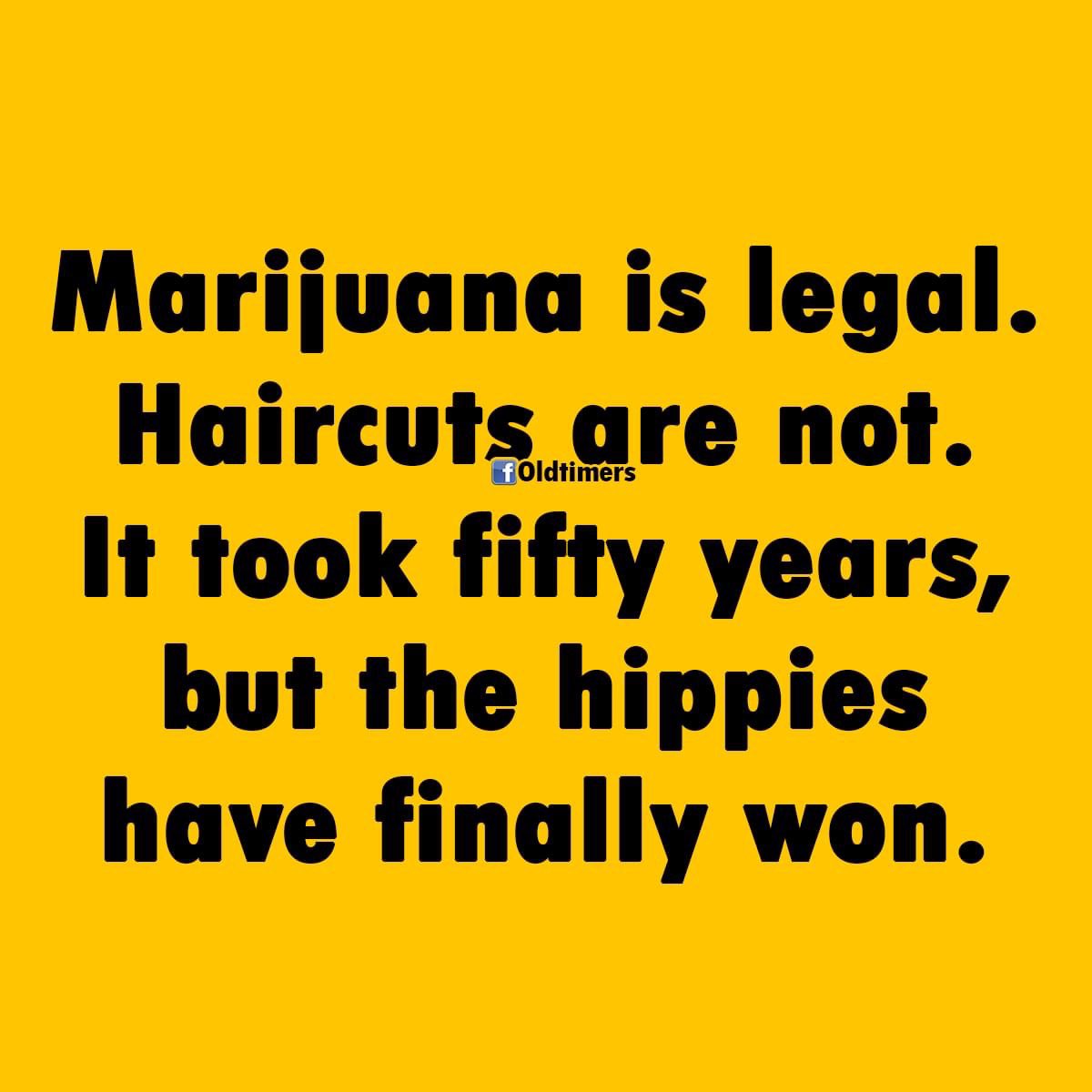 kellysangelo's tweet image. 