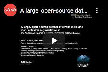 View a presentation about past  #CLDR data sharing pilot project, "A large, open-source dataset of stroke MRIs and manual lesion segmentations" by Sook-Lei, Liew, PhD, OTR/L  https://www.utmb.edu/cldr/education-training/events-internal/annual-meeting-2020#liew #datascience  #dataarchiving  #rehabilitation  #largedata