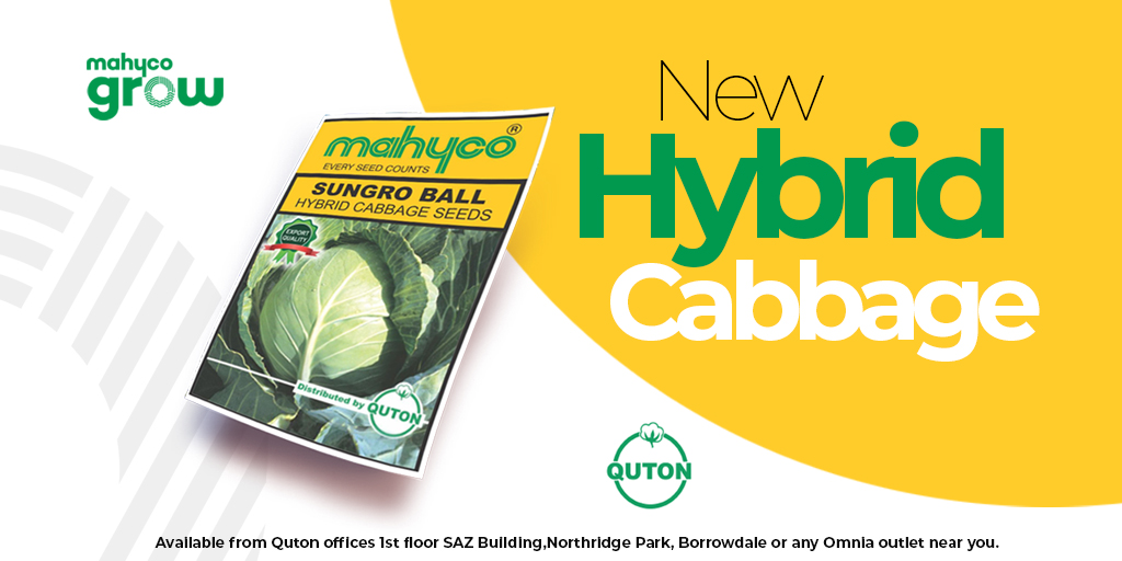 Quton Seed Company tweet media