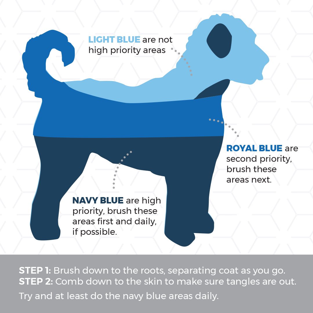 barkandfitz_'s tweet photo. REPOST – Have you been looking for a way to brush your dog between grooms? Don’t worry, we have you covered! Check it out.
Huge shout out to our Master Groomer, Kim Moser, from our Bark &amp; Fitz Barrie!
Check out the comments to see a video! https://t.co/O9oXnTKE2W