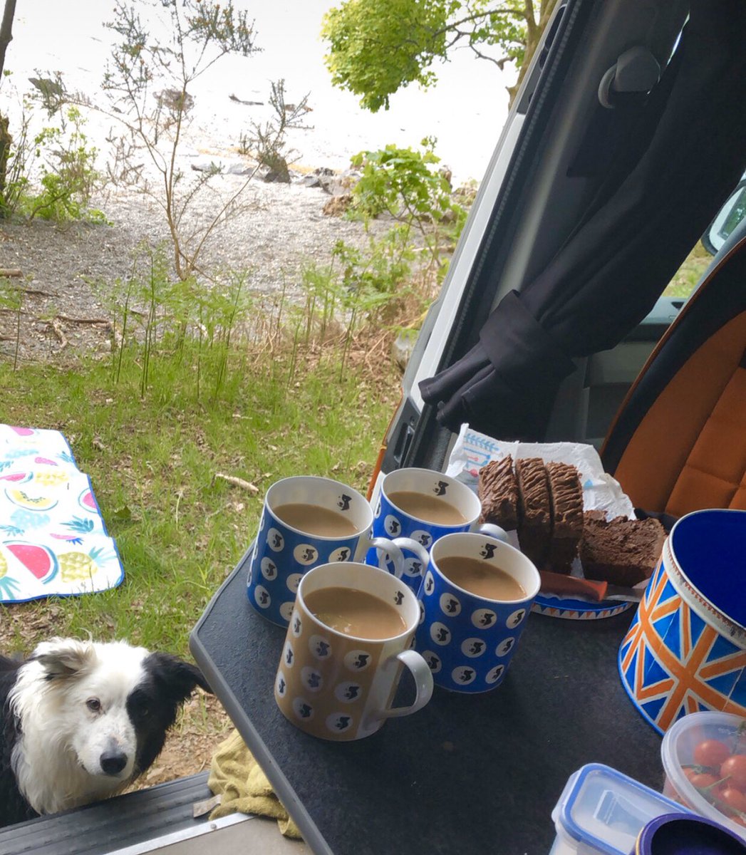 zakthecolliedog's tweet photo. Chocolate banana loaf at Coniston in the van. Theyโre living the dream. #firsttripout #zakthecolliedog #vanlife https://t.co/adxssLbfet