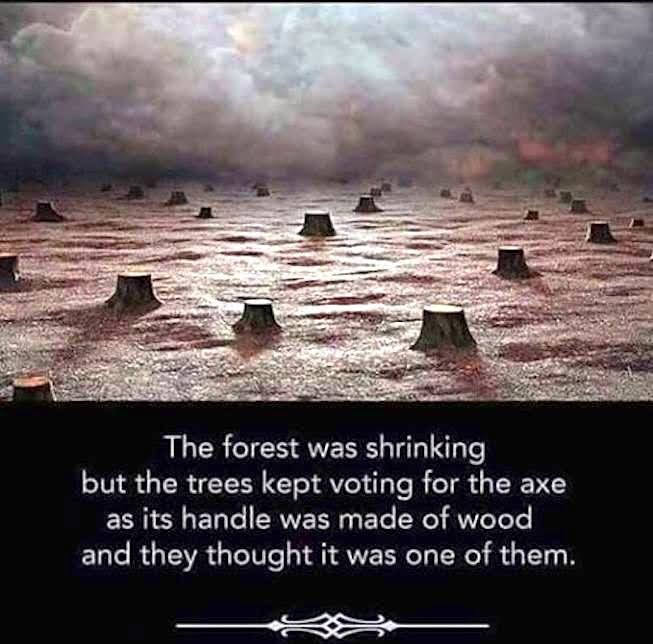 AgpgbgdgAlan's tweet photo. @scapelliti #RealizeTheTruth #CorruptDemocRats DO NOT CARE ABOUT EVERYDAY AMERICANS THEY ONLY CARE ABOUT THEIR RICH BRIBERS AND THIS IS JUST MORE PROOF OF THAT!! #RealizeTheTruth #JustAnotherRepublican #StopVotingCorruption #OnlyVoteProgressive https://t.co/4vbHvEVkKF