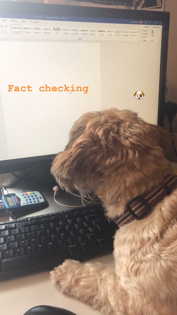 kwaltonlaw's tweet photo. Home working is going well .. got my assistant working hard ... https://t.co/RTTkYRd3zB