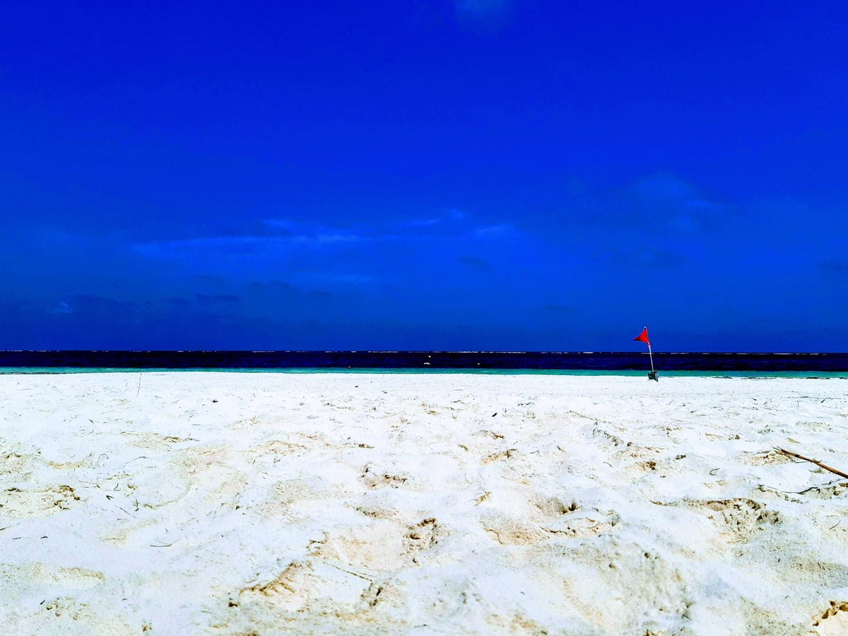 CasaViajeros's tweet image. Are you dreaming of travel? We are! Our #beach is closed now, but it won’t be forever. Book your stay @casaviajeros for next season. We are filling up! #vacationrental #puertomorelos casadelosviajeros.com