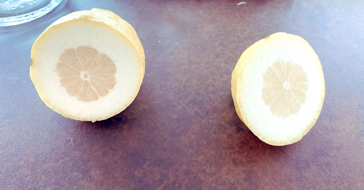 何だか損をした気分に･･･www買ったレモンを切ってみた結果！www