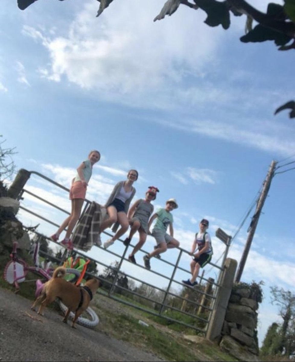 yvonne_maher's tweet photo. @cocomairead bringing the dog for a walk with in our 2k. Kids home adventures in lockdown &amp; selfie taking by themselves. 
#TogetherAtHome https://t.co/PtVfybGdHO