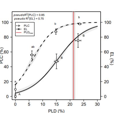 PlantPhys's tweet photo. Drought-induced mortality: branch diameter variation reveals a point of no recovery in lavender species #AbioticStress #ClimateChange #PlantBiology @StephaneHerbet https://t.co/wtskutjohW https://t.co/LnnjcPdtuY