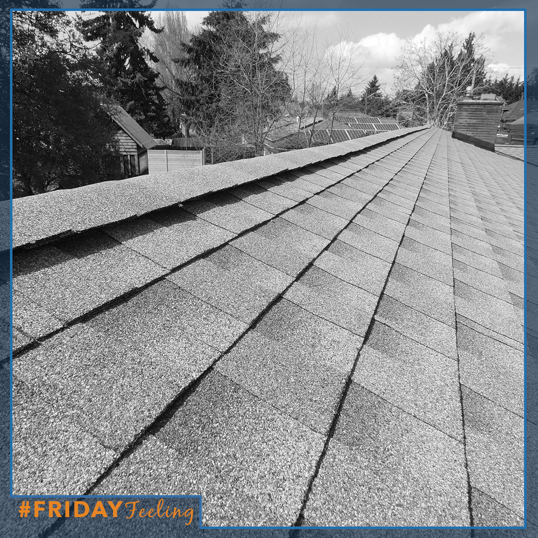 PNWRoofer's tweet photo. Different roof, same game - #GAFCobraExhaustVent
.
.
.
.
#FridayFeeling #GAFTimberlineHD #TGIF #WeLoveRoofs GAF - Roofing https://t.co/EHc0wBuDW5