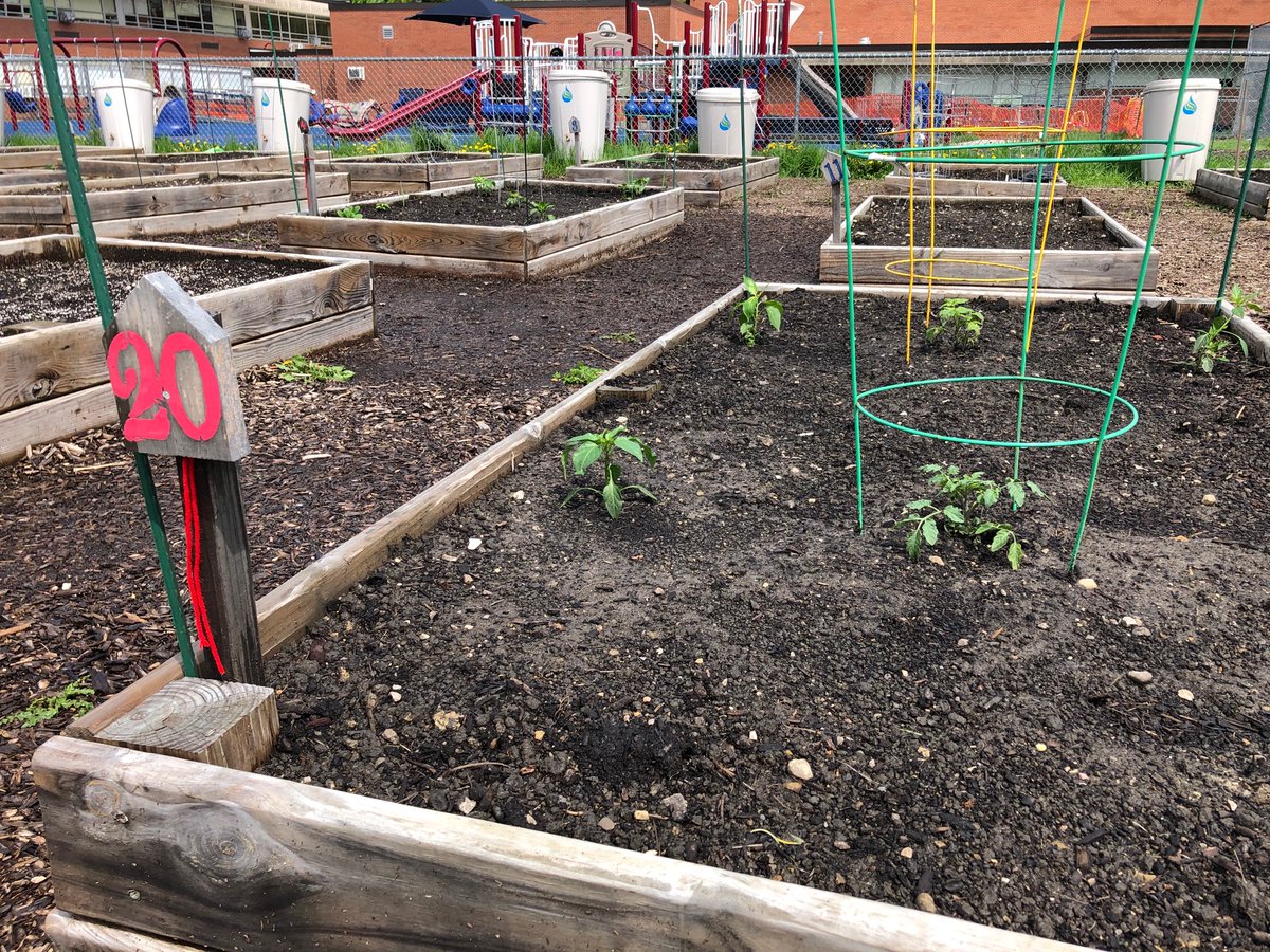 Kevin Steck tweet media