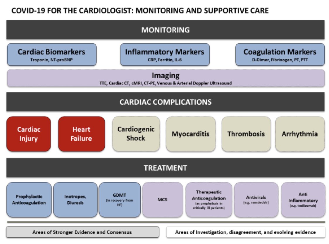 El daño miocárdico puede ser isquémico y no isquémico.

💔puede llevar al desarrollo de IC &amp; shock cardiogénico (23%)

No hay evidencia📖para monitoreo rutinario, pero los biomarcadores💉pueden dar una pauta de la evolución 

💊💉Objetivos terapéuticos: muchos

👍🏻ninguno😞