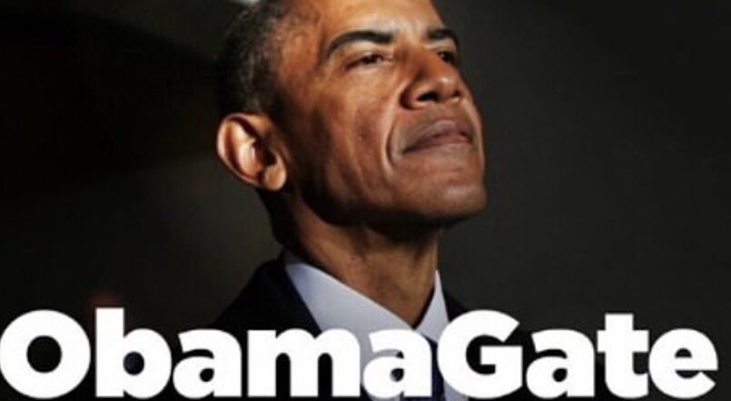 RealJamesWoods's tweet photo. A fish rots from the head. #ObamaGate https://t.co/kvydJu3AJM