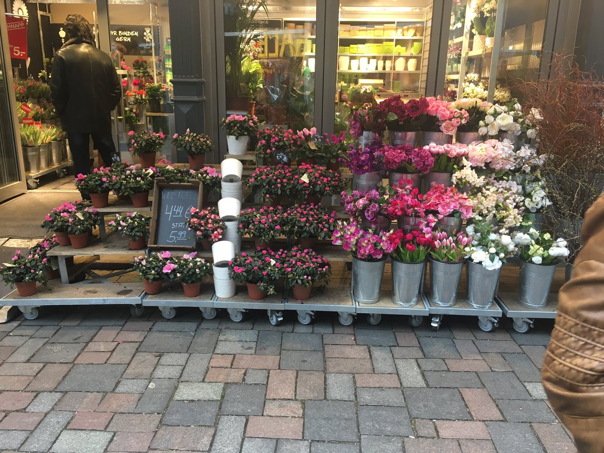 My life in pictures... no words...no people
 Day 1/7 thank you for nominating me <a href="/kfrancz/">Kim Francz</a>