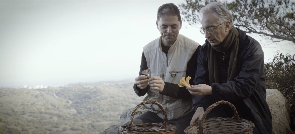 Aquí el setè vídeo sobre el nostre #patrimoniimmaterial. Anar a cercar esclata-sangs! Avui ens ho explica en Tòful, biòleg especialitzat en micologia 🍄 ▶️bit.ly/PCIMEclataSangs
👩🏻‍💻Més informació sobre aquesta tradició o sobre altres béns immaterials a ipcime.cat