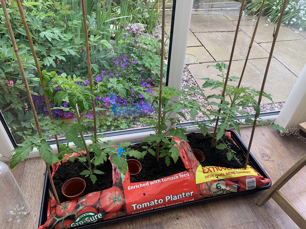 Fergus Campbell tweet media