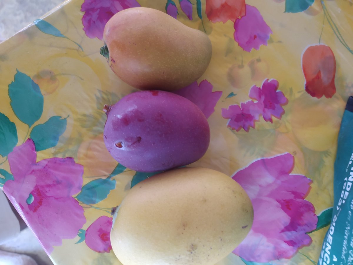 Emzi Gamer 👽 tweet media