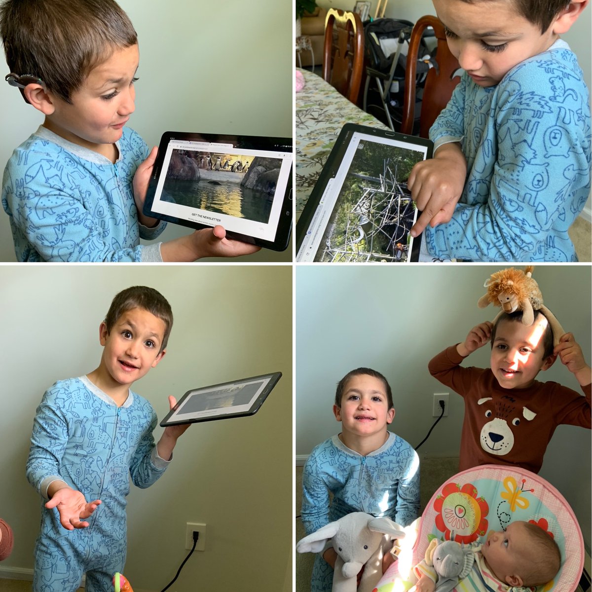 Today we took a field trip to the zoo and didn’t have to change out of our PJs 
<a href="/NES_CT/">NES_CT</a> <a href="/sandiegozoo/">San Diego Zoo Wildlife Alliance</a> #NESdistancelearning #NESCares #bestdayofdistancelearning