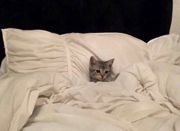 nick: keep it up!! 
me: