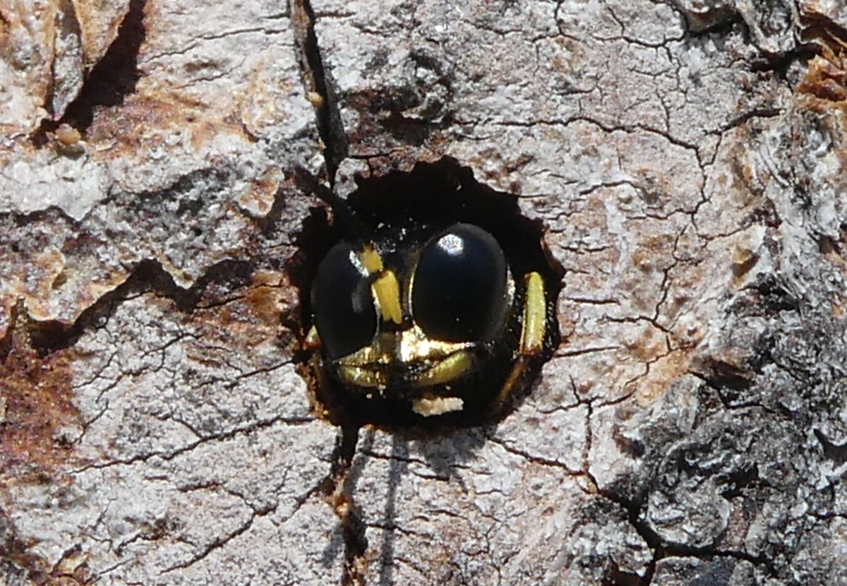 russell miller tweet media